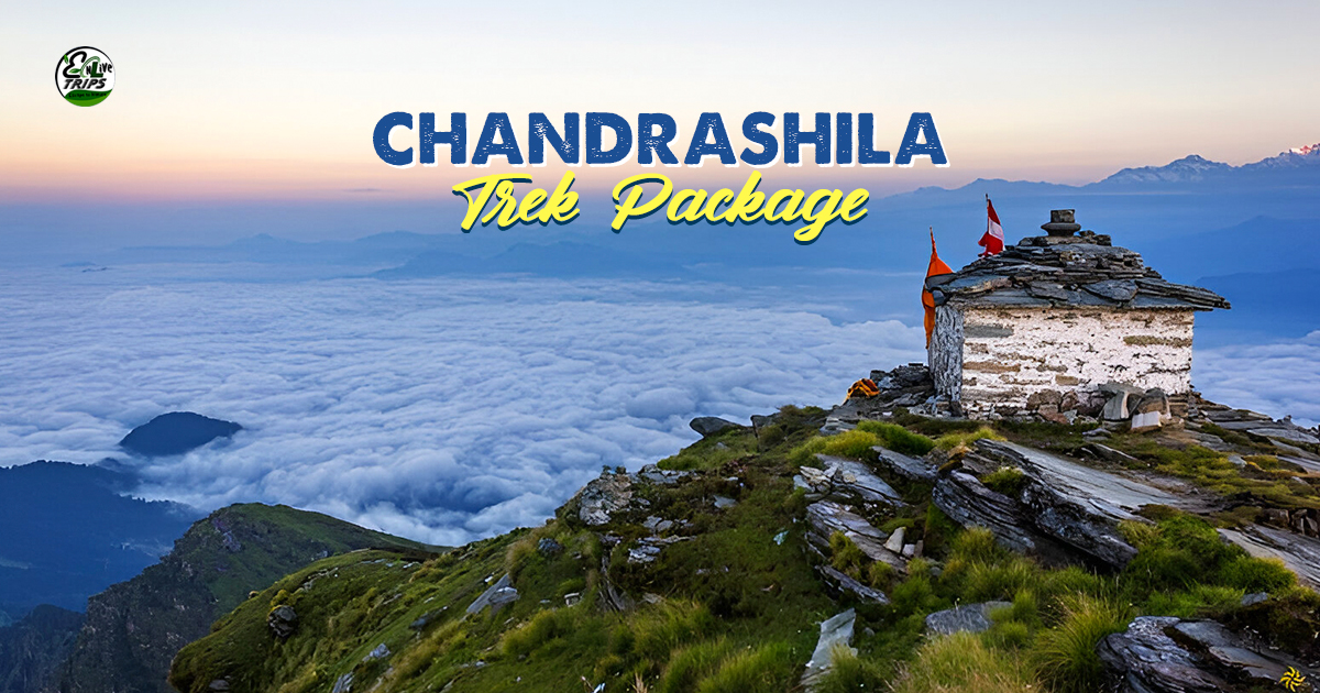 Chopta tour packages